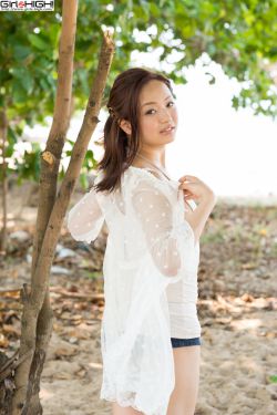 岳飞传